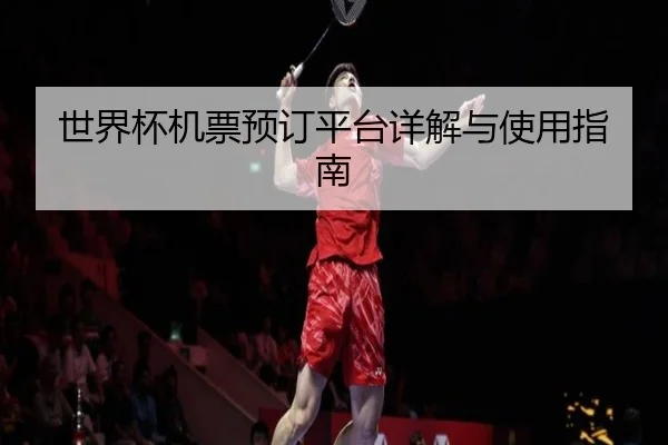 世界杯机票预订平台详解与使用指南