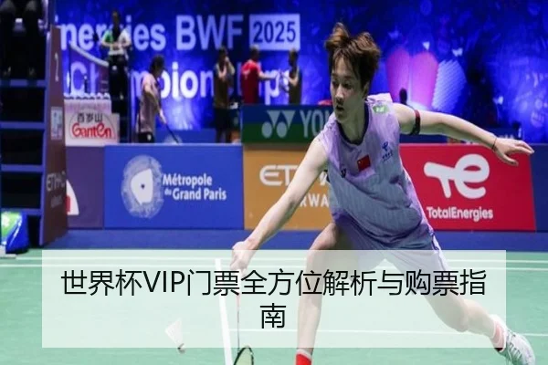 世界杯VIP门票全方位解析与购票指南