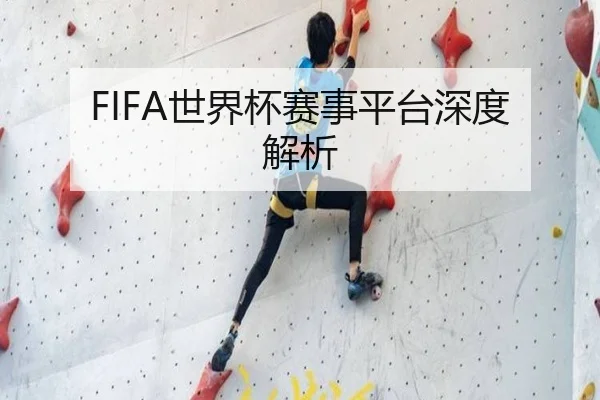 FIFA世界杯赛事平台深度解析