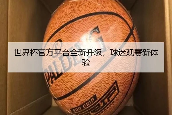 世界杯官方平台全新升级，球迷观赛新体验